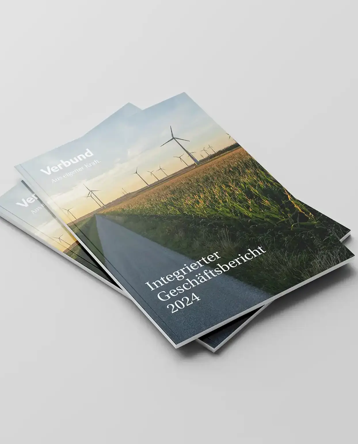 Zwei Integrierte Geschäftsberichte aus dem Jahr 2024 sind auf einem hellgrauen Untergrund auf der rechten Bildseite zu sehen.