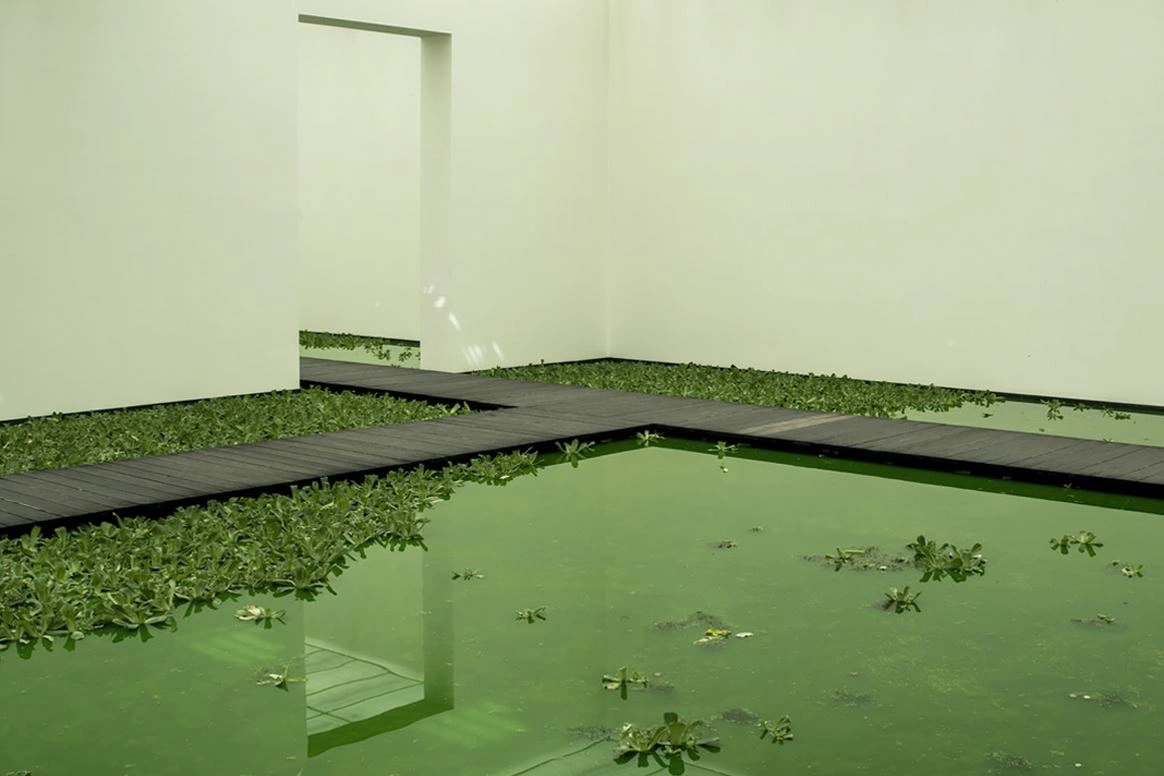 Ein moderner Raum mit grünen Wasserflächen, auf denen Holzstege verlaufen und die von Pflanzen umgeben sind.