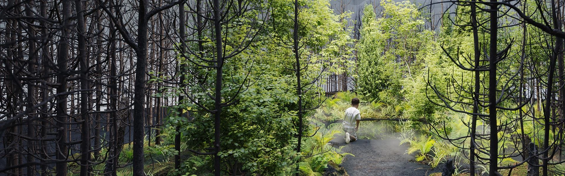Ein kleiner Junge, der in einem Wald vor einem kleinen Teich kniet.