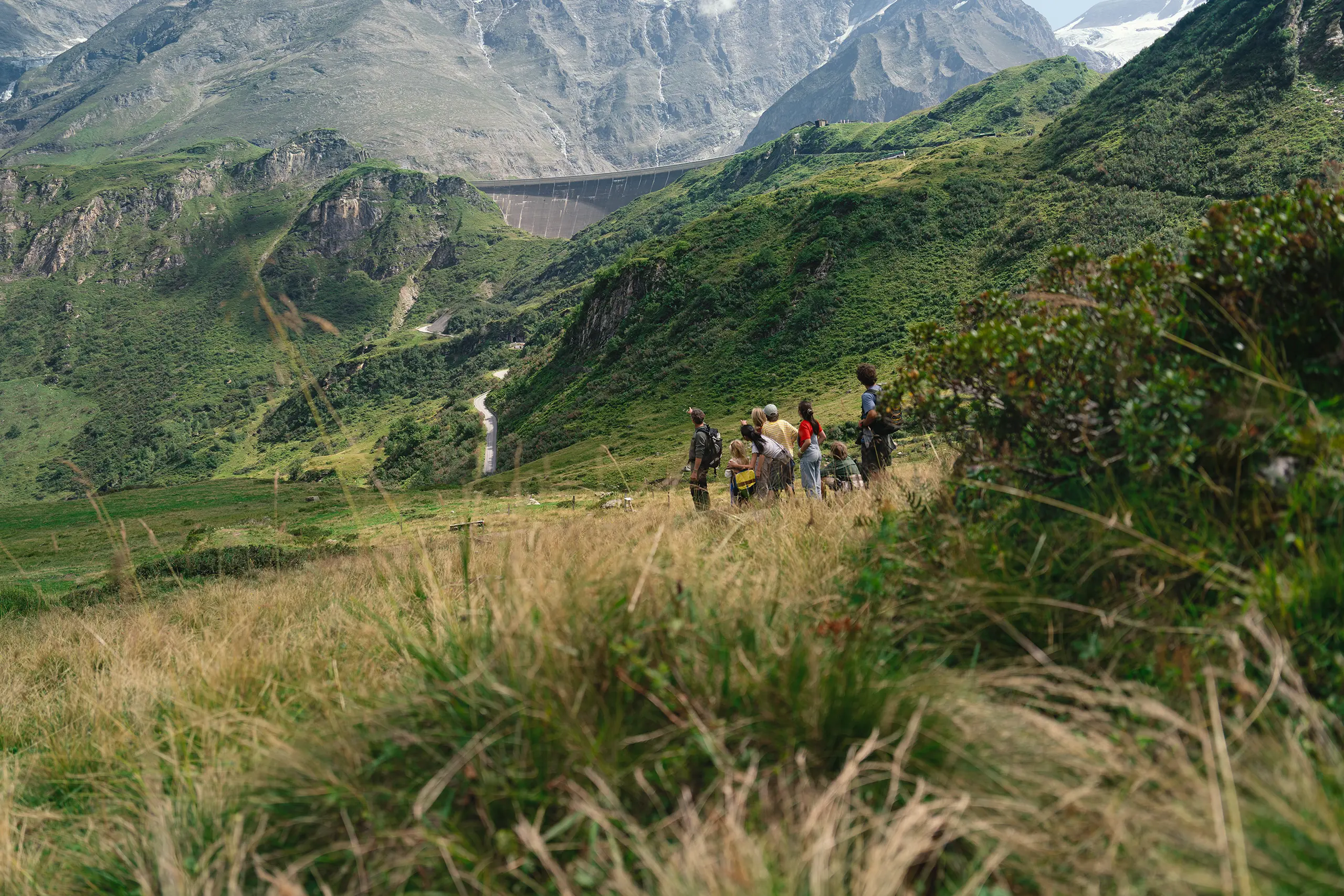 Wandernde stehen auf einer grasigen Alm und blicken ins Tal auf eine Staumauer in den Bergen.