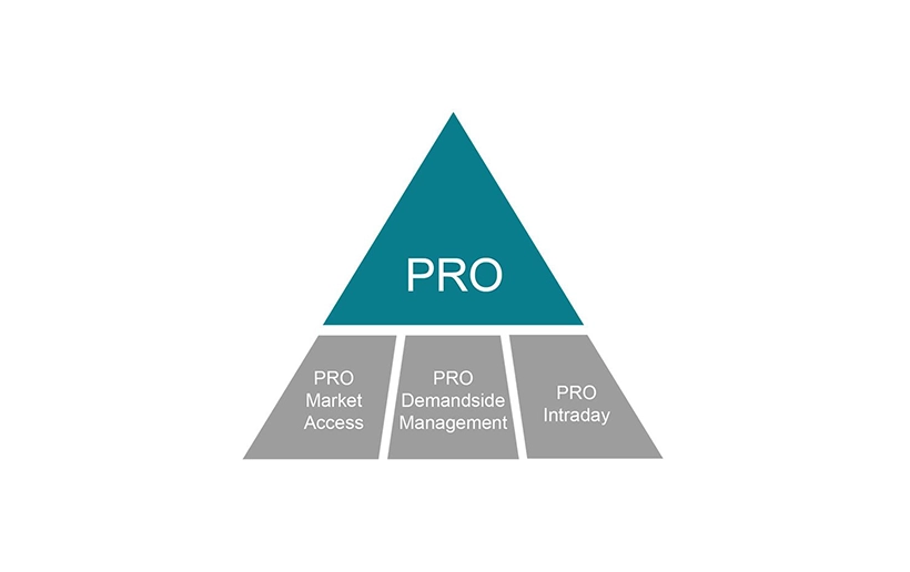 The picture shows a pyramid: At the top of the turquoise tip is the word PRO. Below that, in the 3 other parts of the pyramid, you can see the following: Pro Market Access, Pro Demandside Management and Pro Intraday.