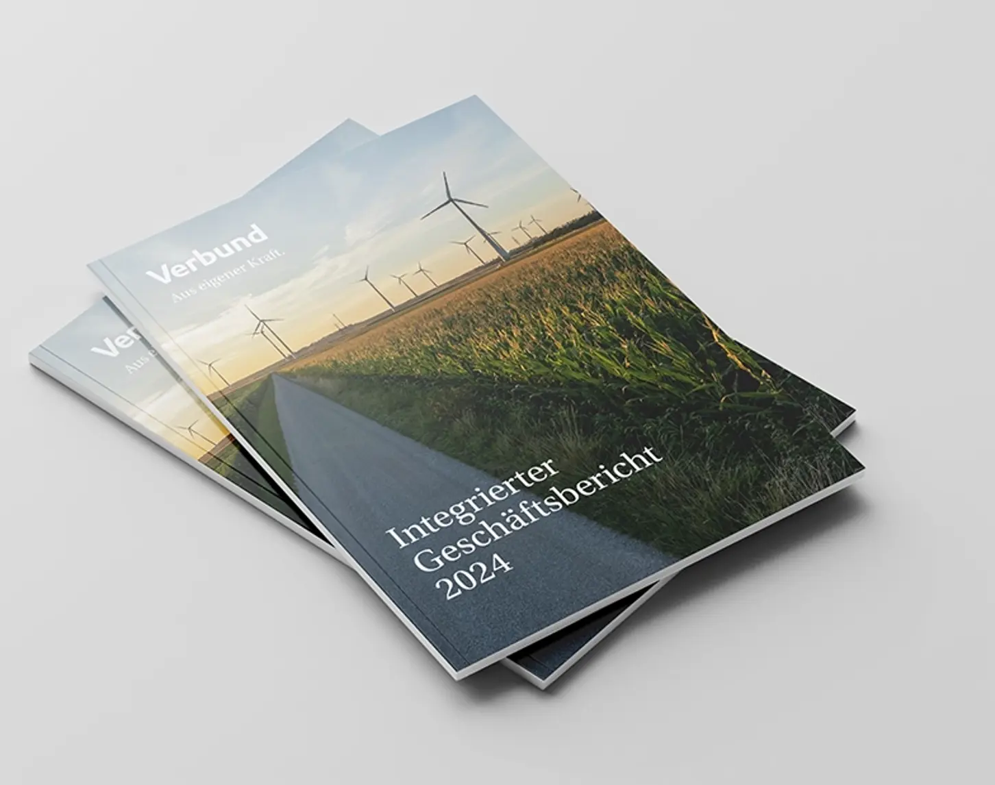 Two integrated annual reports from 2024 can be seen on a light grey background on the right-hand side of the image.