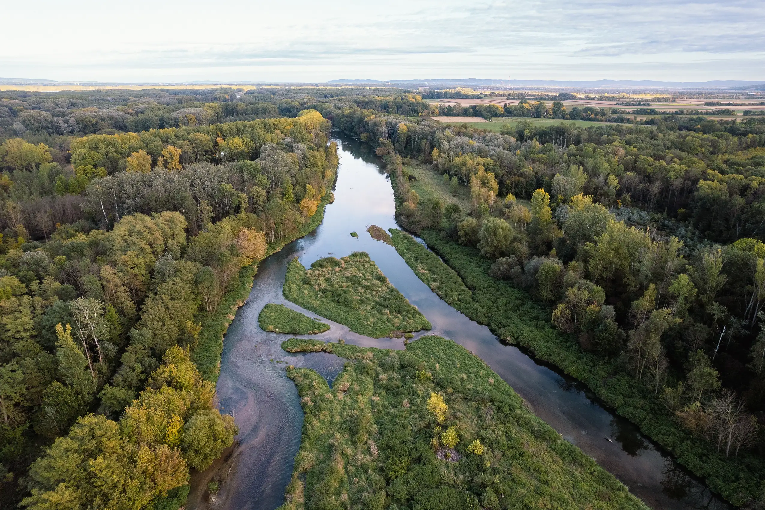 Blick auf das Projektgebiet Life Traisen nach der Renaturierung von oben: Das natürliche Flussbett ist gut sichtbar, wie auch die Begrünung des Ufers.