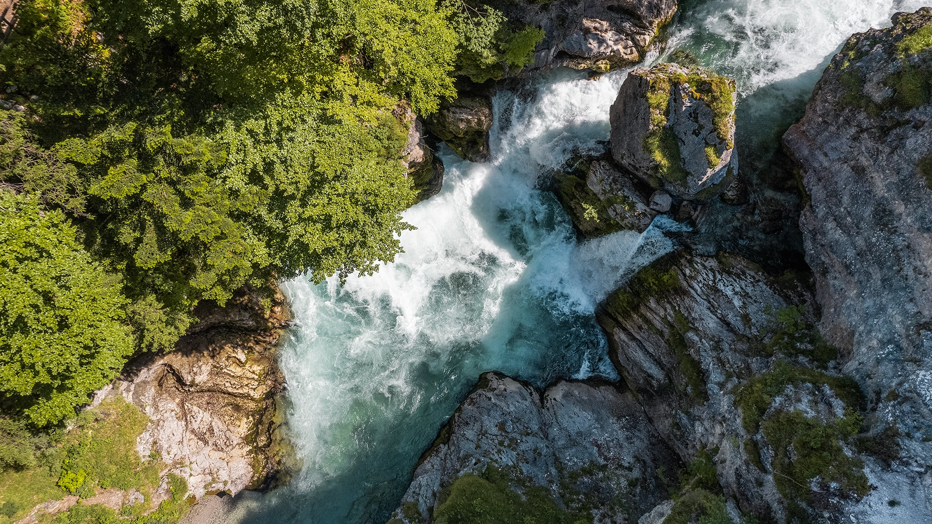 We look down on the Schlegeis from above. The water flows turbulently between bushes and stones.