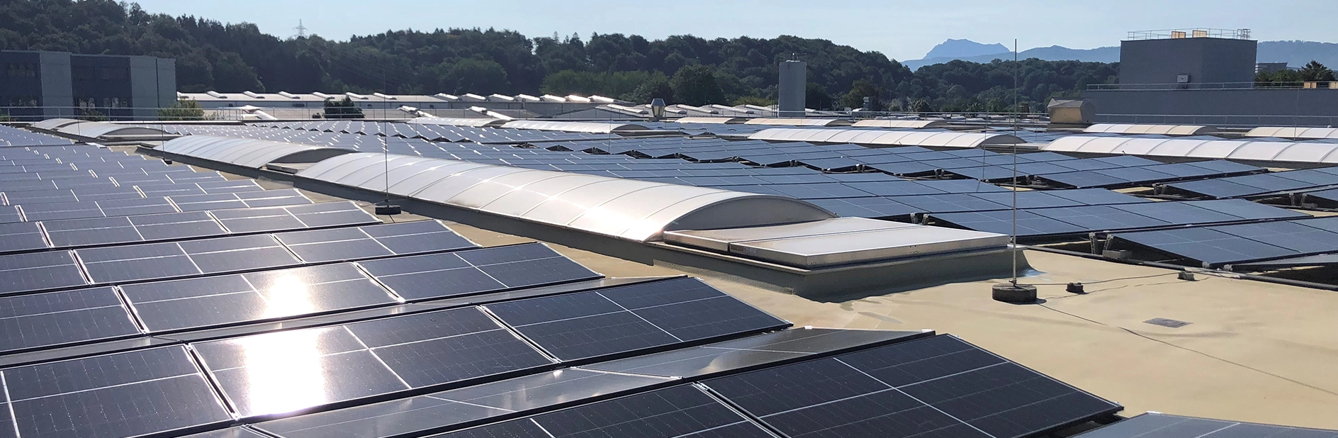 Eine große PV-Anlage auf einem Dach einer Industrieanlage, in den Paneelen spiegelt sich das Sonnenlicht.