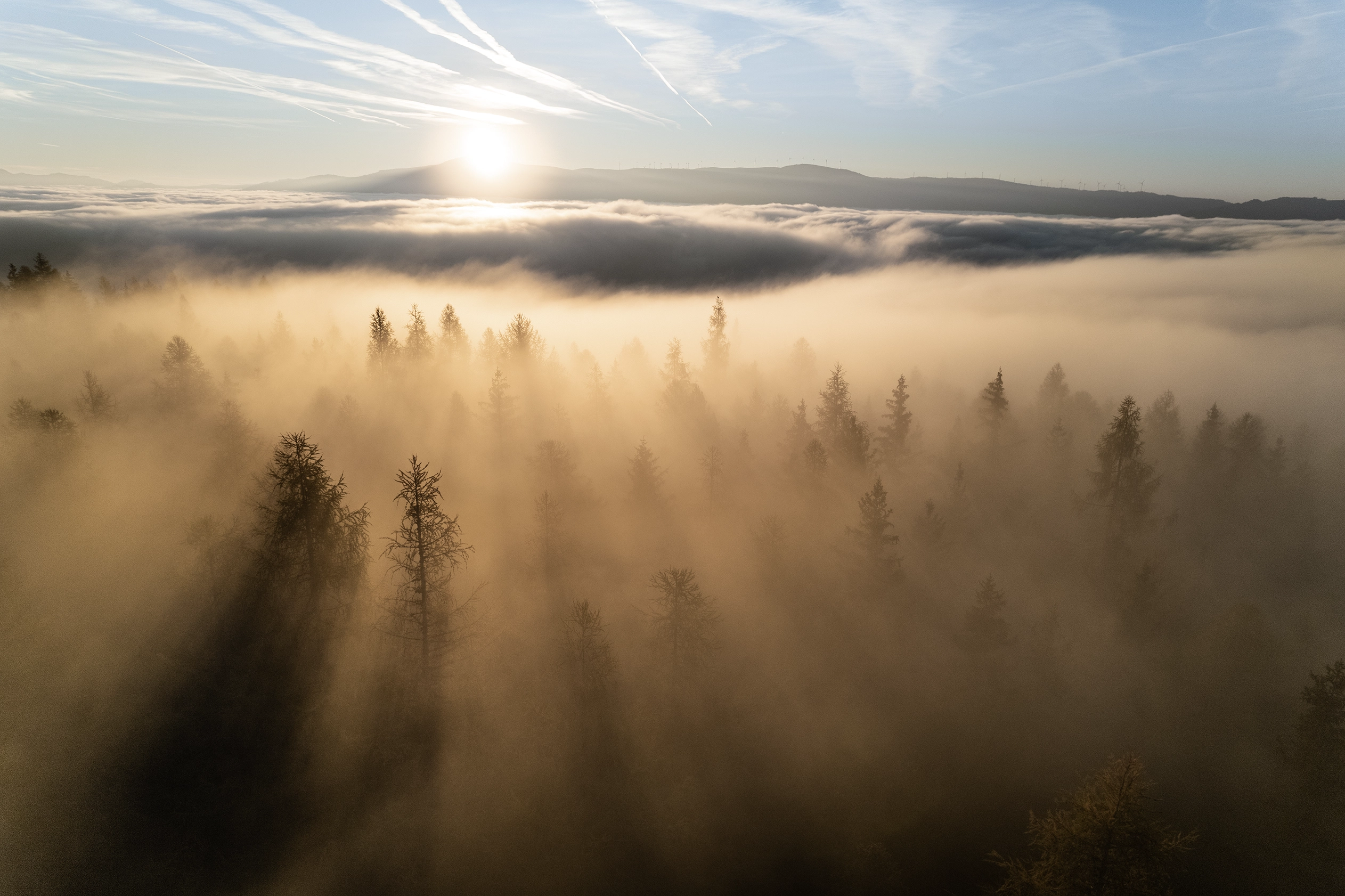 Wir sehen eine Flugaufnahmen über einen nebenverhangenen Waldgebiet bei Sonnenaufgang mit einigen Bergen im Hintergrund.