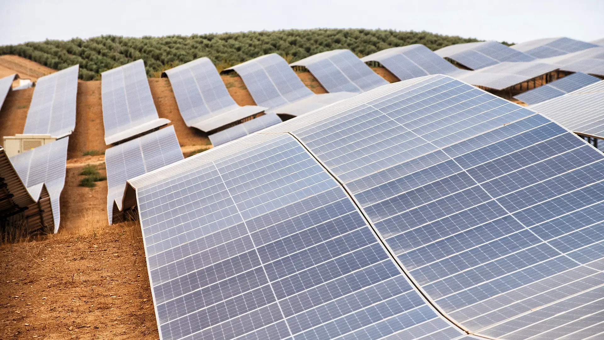 We are looking at a photovoltaic system in Spain. The ground is brown and rather barren. There is some green in the background.
