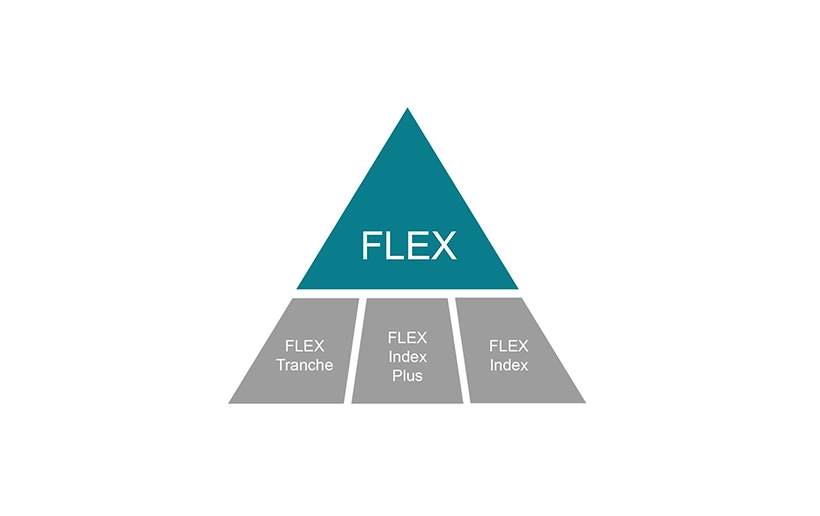 The picture shows a pyramid: at the top of the turquoise tip is the word FLEX. Below it is written: Flex Tranche, Flex Index Plus and Flex Index.