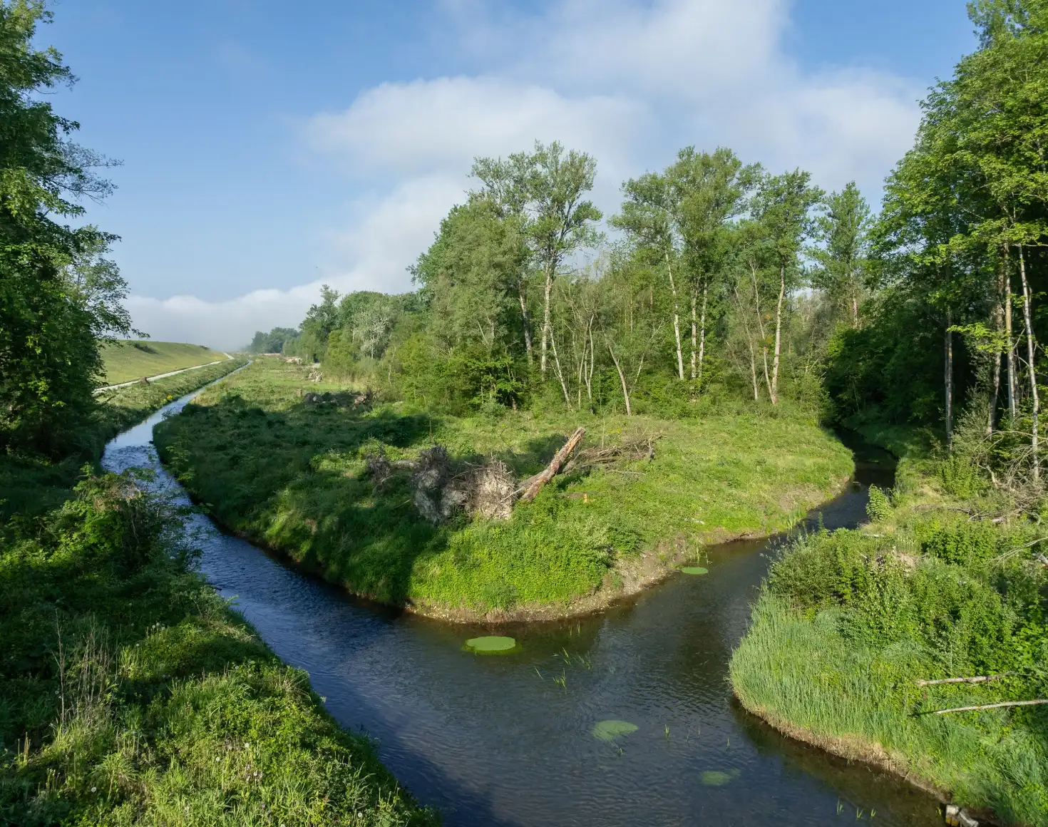 Naturnahes Umgehungsgewässer mit klarem Wasser, das sich durch grüne Ufervegetation und Bäume schlängelt. Die Fischwanderhilfe ist von unterschiedlich hohen Uferbereichen umgeben und erstreckt sich bei blauem Himmel entlang des Flusses.